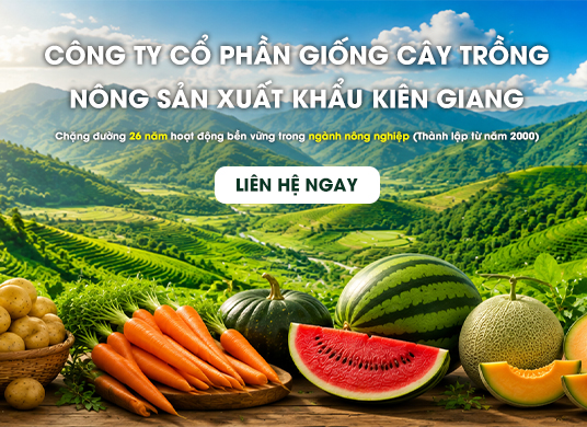 CÔNG TY CP GIỐNG CÂY TRỒNG - NÔNG SẢN XUẤT KHẨU KIÊN GIANG